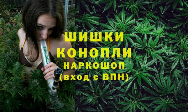 гашиш Богданович