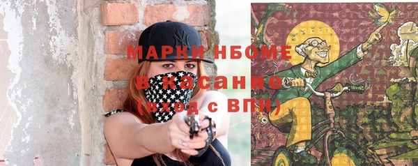 гашик Богородицк