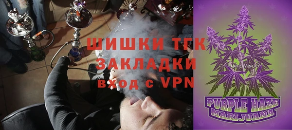 гашиш Богданович