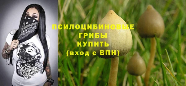 гашиш Богданович