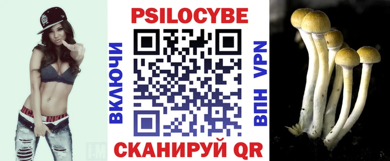 Псилоцибиновые грибы Magic Shrooms  Купить  Струнино 